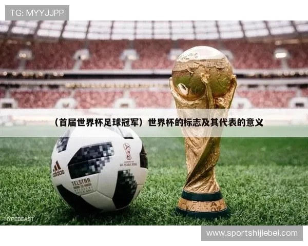 从首届到最新一届,全面解析世界杯历届冠军球队的夺冠之路与关键战役