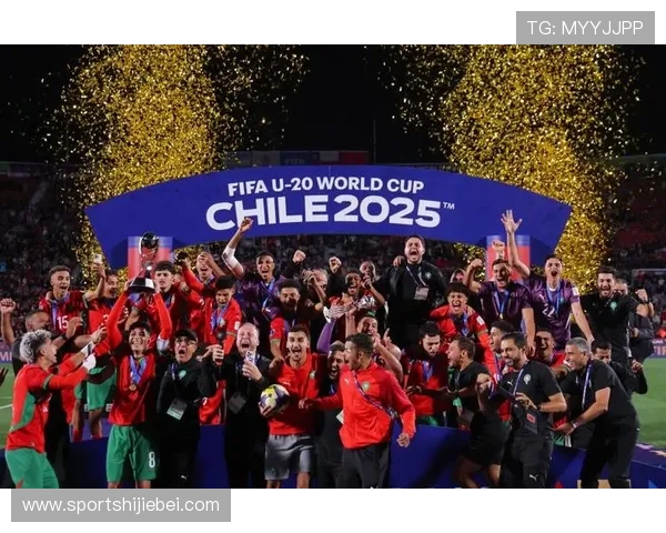 全面解析世界杯参赛国家图片背后的文化故事与国家特色，提升你的赛事理解